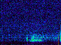 No data: 18-19 UT