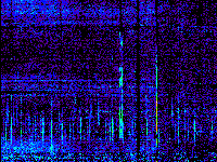 No data: 13-14 UT