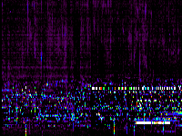 No data: 03-04 UT