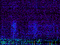 No data: 13-14 UT