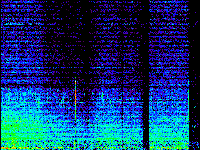 No data: 19-20 UT