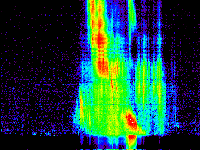 No data: 13-14 UT