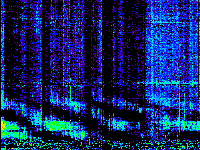 No data: 12-13 UT