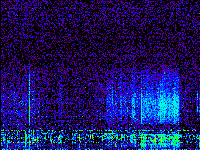 No data: 14-15 UT