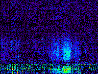 No data: 14-15 UT