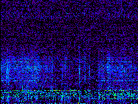 No data: 16-17 UT