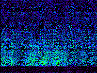 No data: 18-19 UT