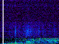 No data: 11-12 UT