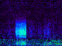 No data: 21-22 UT