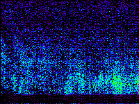 No data: 12-13 UT