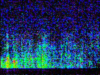 No data: 15-16 UT