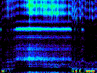 No data: 13-14 UT