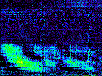 No data: 12-13 UT