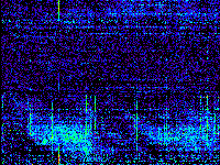 No data: 12-13 UT