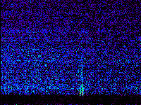 No data: 14-15 UT