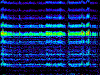 No data: 16-17 UT