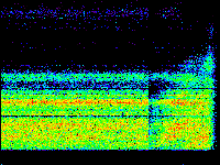No data: 21-22 UT