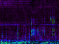 No data: 15-16 UT