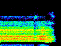 No data: 21-22 UT