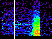 No data: 12-13 UT