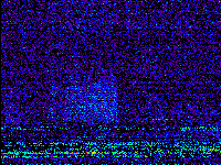 No data: 16-17 UT