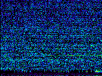 No data: 16-17 UT