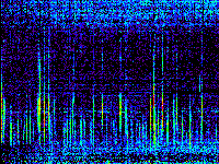 No data: 19-20 UT