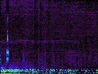 No data: 14-15 UT