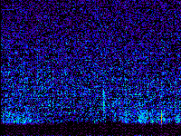 No data: 16-17 UT