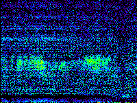 No data: 16-17 UT