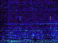 No data: 14-15 UT