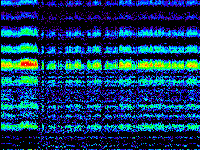 No data: 11-12 UT