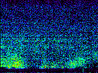 No data: 16-17 UT