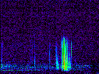 No data: 14-15 UT