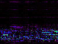 No data: 02-03 UT