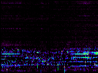 No data: 02-03 UT