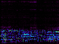 No data: 02-03 UT