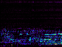 No data: 02-03 UT