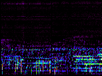 No data: 02-03 UT