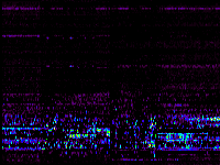 No data: 02-03 UT