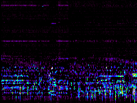 No data: 02-03 UT
