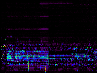 No data: 02-03 UT