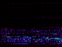 No data: 03-04 UT