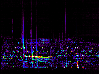 No data: 00-01 UT
