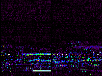 No data: 01-02 UT