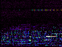 No data: 02-03 UT