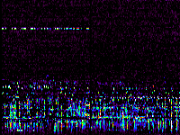 No data: 02-03 UT