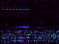 No data: 02-03 UT
