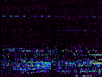 No data: 03-04 UT