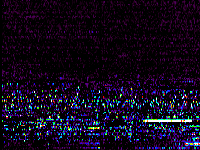 No data: 04-05 UT